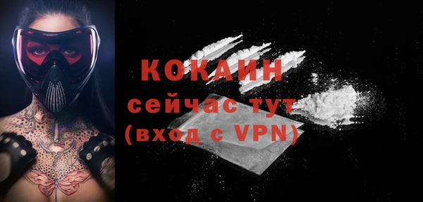 СК Струнино
