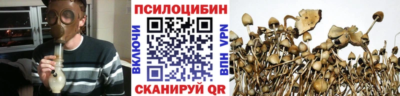 Псилоцибиновые грибы Magic Shrooms  купить закладку  Ялта 